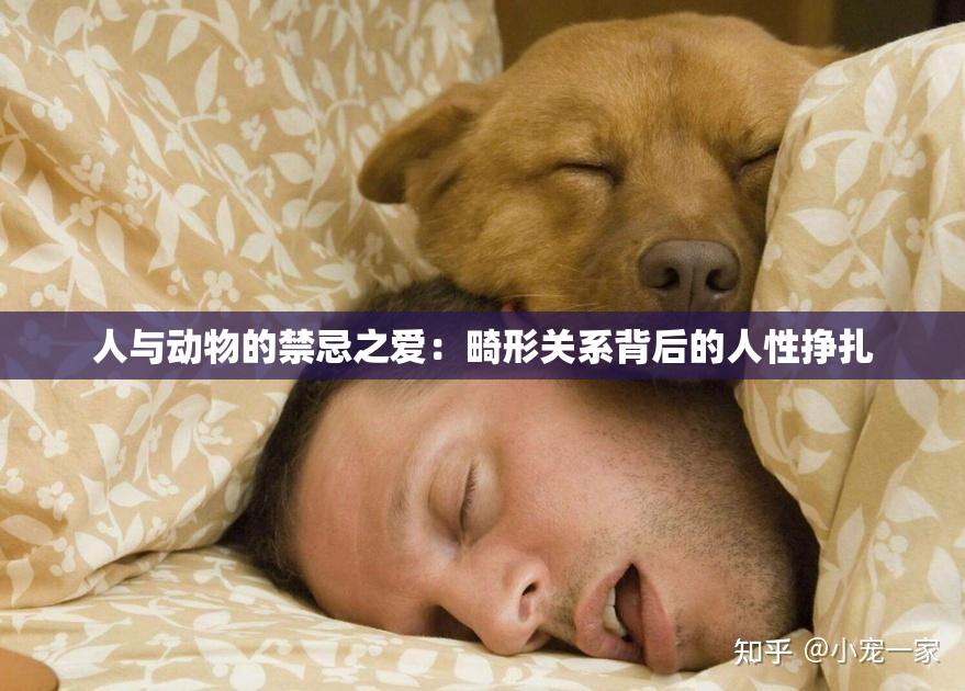 人与动物的禁忌之爱：畸形关系背后的人性挣扎