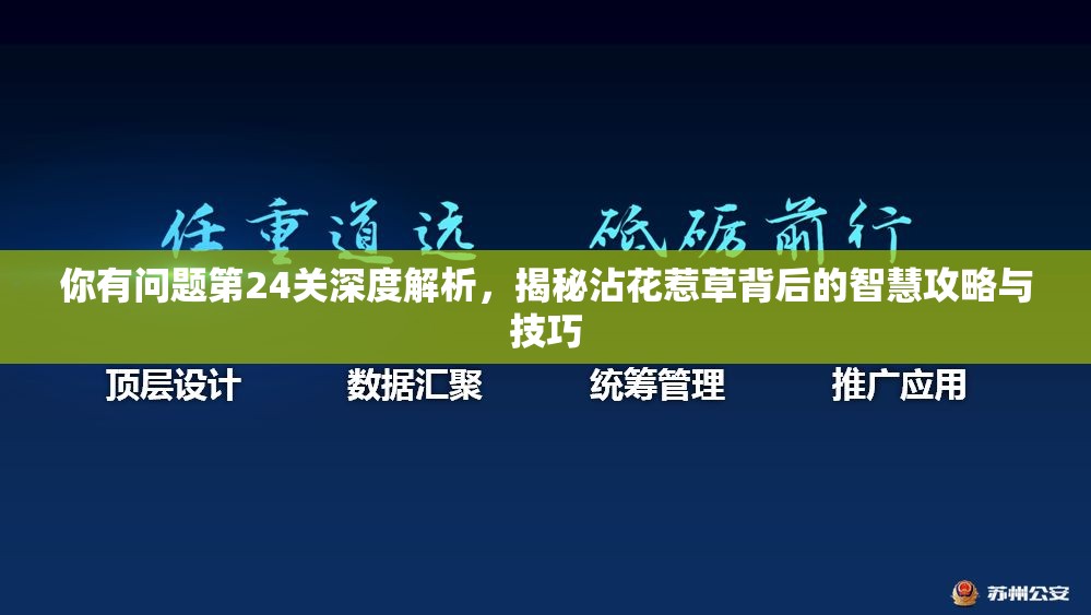 你有问题第24关深度解析，揭秘沾花惹草背后的智慧攻略与技巧