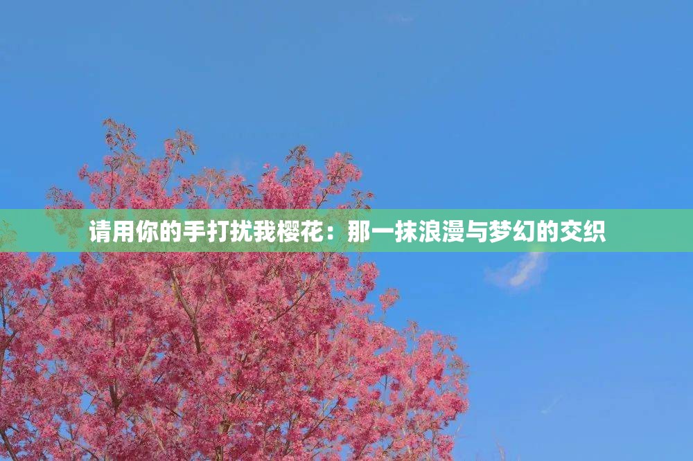 请用你的手打扰我樱花：那一抹浪漫与梦幻的交织