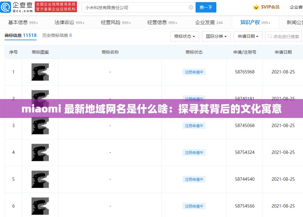 miaomi 最新地域网名是什么啥：探寻其背后的文化寓意