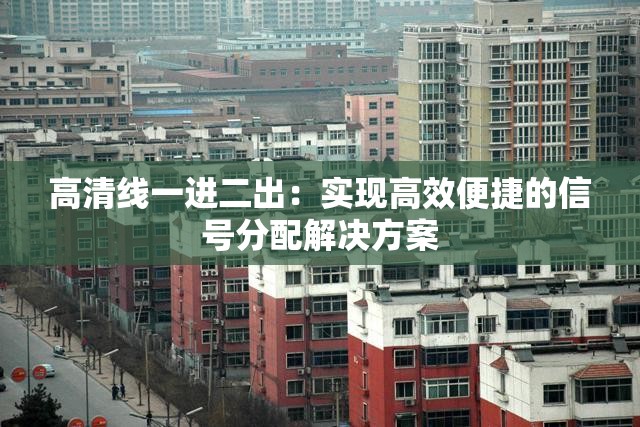 高清线一进二出：实现高效便捷的信号分配解决方案