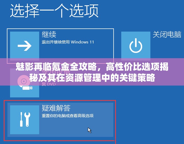 魅影再临氪金全攻略，高性价比选项揭秘及其在资源管理中的关键策略