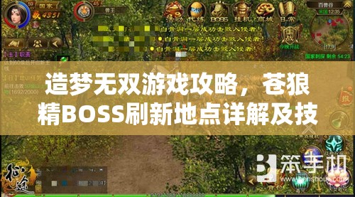 造梦无双游戏攻略，苍狼精BOSS刷新地点详解及技能全面解析