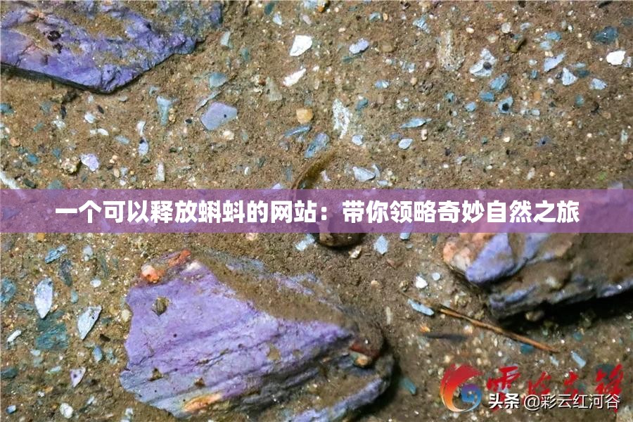 一个可以释放蝌蚪的网站：带你领略奇妙自然之旅