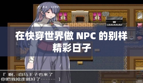 在快穿世界做 NPC 的别样精彩日子