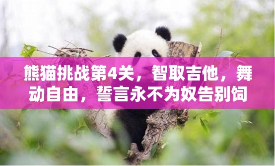 熊猫挑战第4关，智取吉他，舞动自由，誓言永不为奴告别饲养员