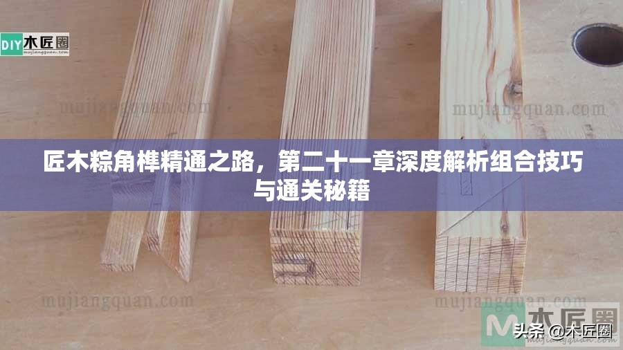 匠木粽角榫精通之路，第二十一章深度解析组合技巧与通关秘籍