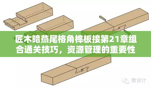 匠木暗燕尾格角榫板接第21章组合通关技巧，资源管理的重要性及高效策略攻略