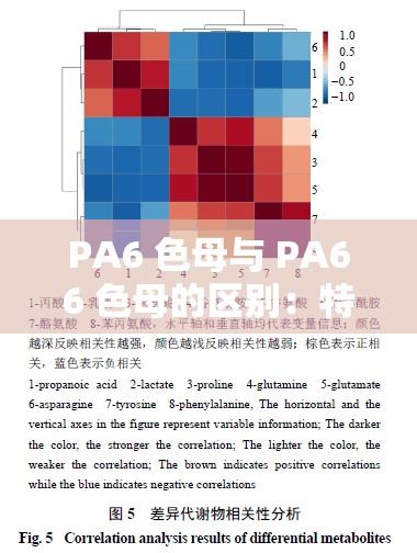 PA6 色母与 PA66 色母的区别：特性功能及应用场景的全面解析