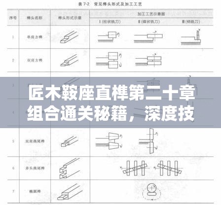 匠木鞍座直榫第二十章组合通关秘籍，深度技巧攻略与难点解析