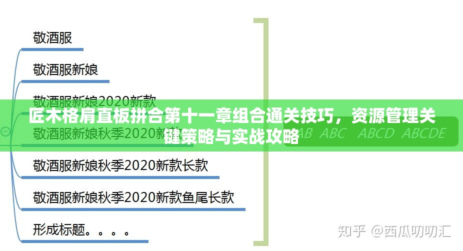 匠木格肩直板拼合第十一章组合通关技巧，资源管理关键策略与实战攻略