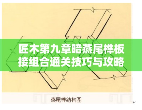 匠木第九章暗燕尾榫板接组合通关技巧与攻略深度解析指南