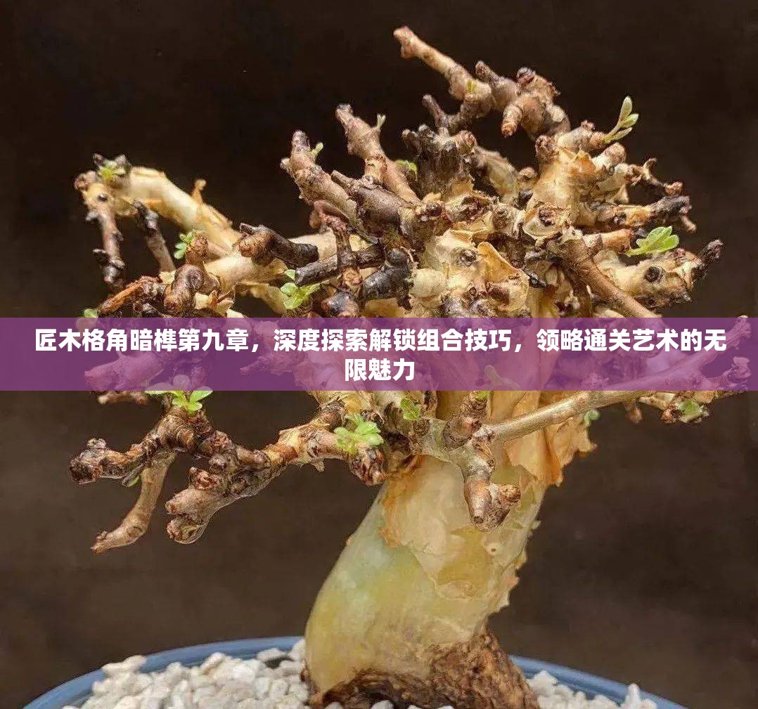 匠木格角暗榫第九章，深度探索解锁组合技巧，领略通关艺术的无限魅力