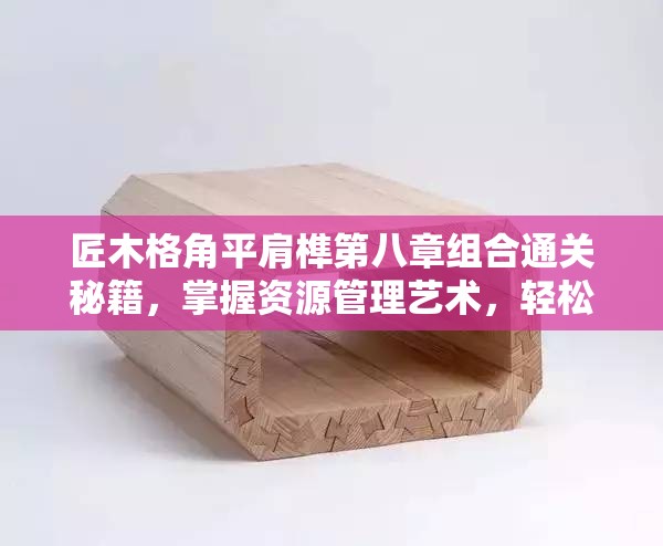 匠木格角平肩榫第八章组合通关秘籍，掌握资源管理艺术，轻松过关技巧攻略