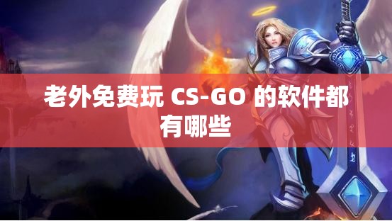 老外免费玩 CS-GO 的软件都有哪些