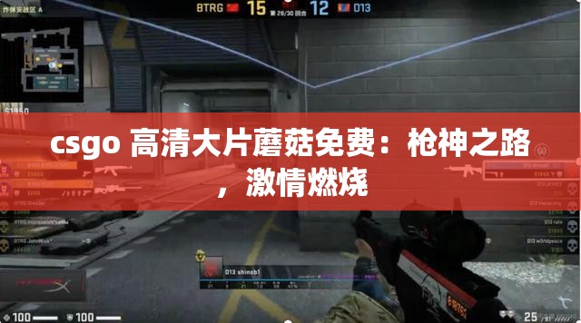 csgo 高清大片蘑菇免费：枪神之路，激情燃烧