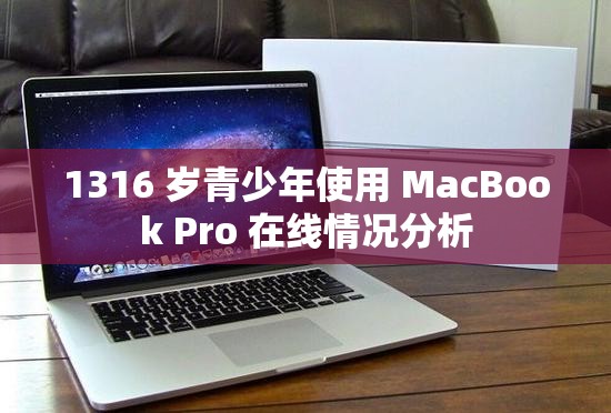 1316 岁青少年使用 MacBook Pro 在线情况分析