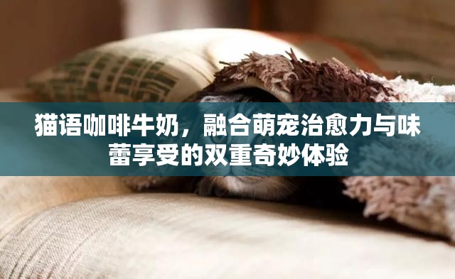 猫语咖啡牛奶，融合萌宠治愈力与味蕾享受的双重奇妙体验