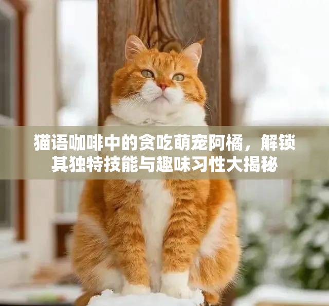 猫语咖啡中的贪吃萌宠阿橘，解锁其独特技能与趣味习性大揭秘