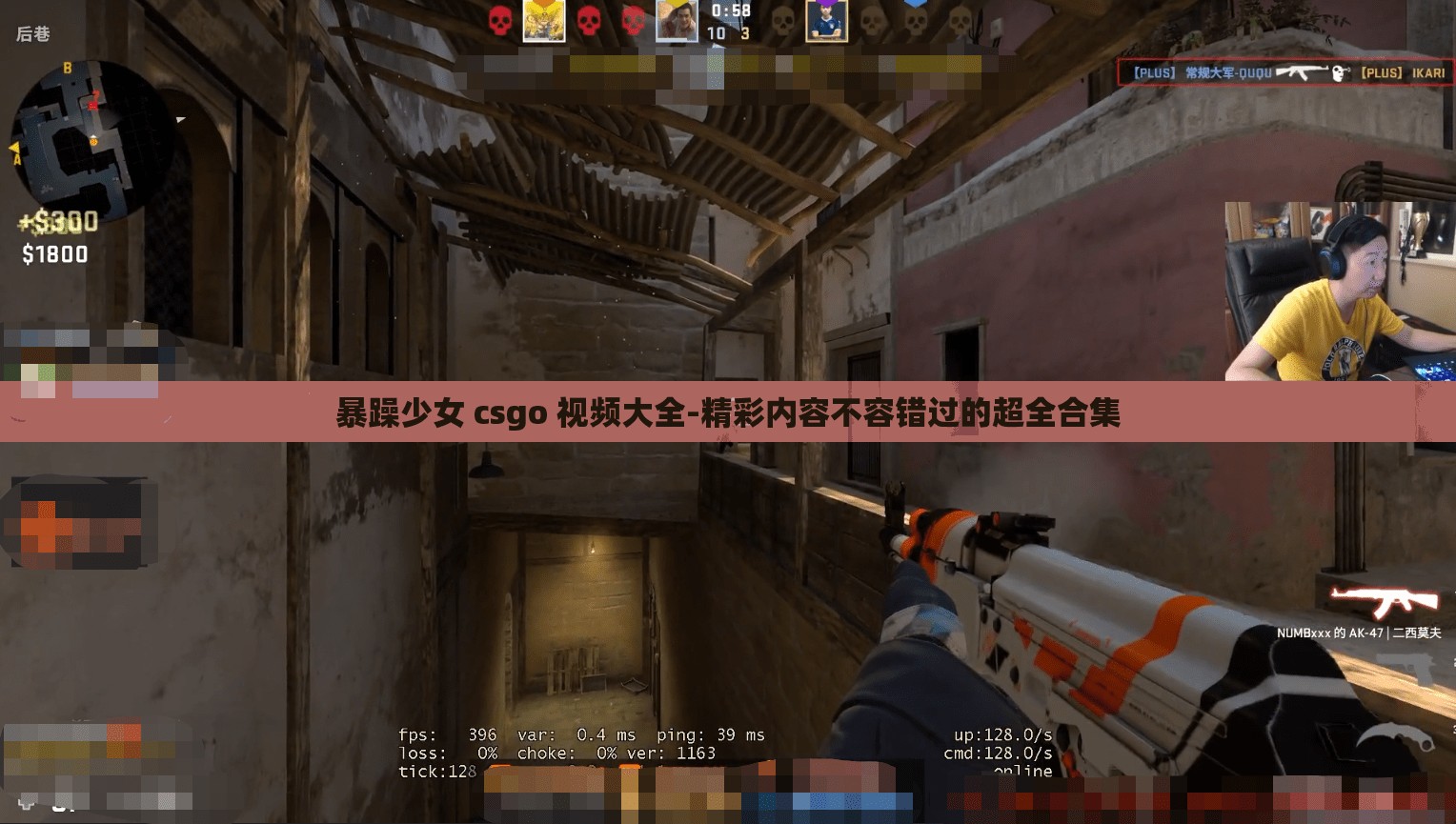 暴躁少女 csgo 视频大全-精彩内容不容错过的超全合集