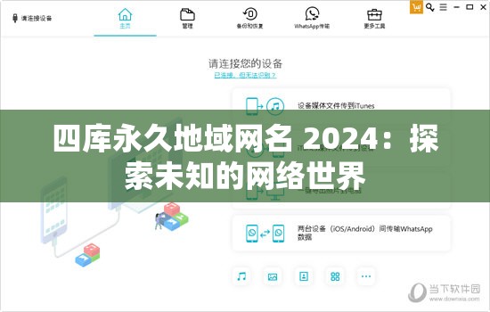 四库永久地域网名 2024：探索未知的网络世界