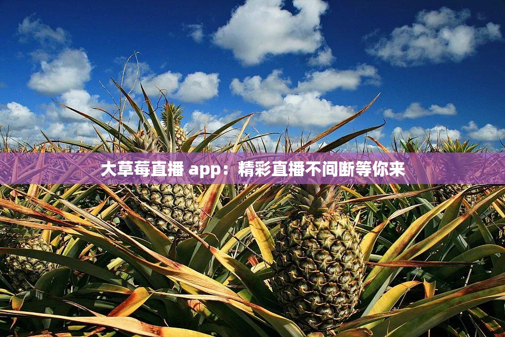 大草莓直播 app：精彩直播不间断等你来