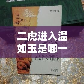 二虎进入温如玉是哪一章出现的：深度揭秘小说情节