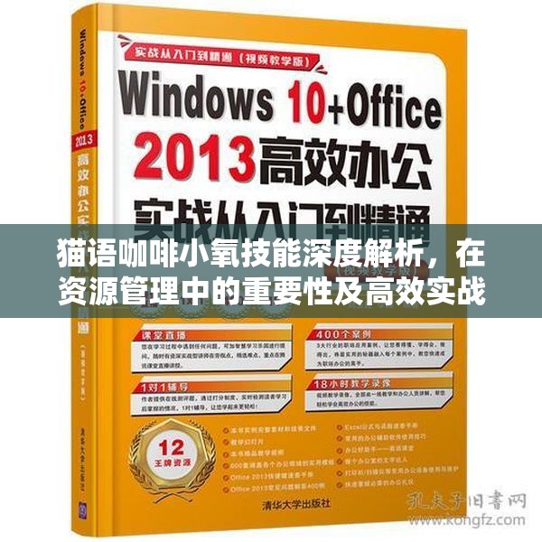 猫语咖啡小氧技能深度解析，在资源管理中的重要性及高效实战运用攻略