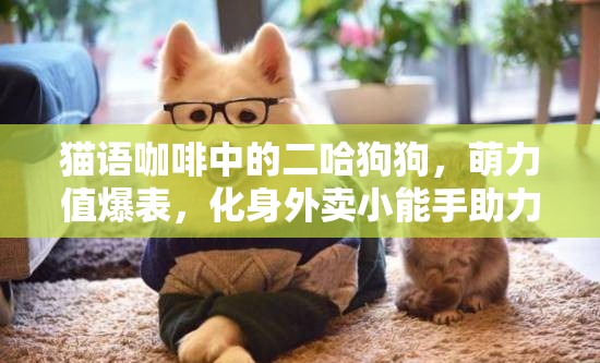 猫语咖啡中的二哈狗狗，萌力值爆表，化身外卖小能手助力新春2025