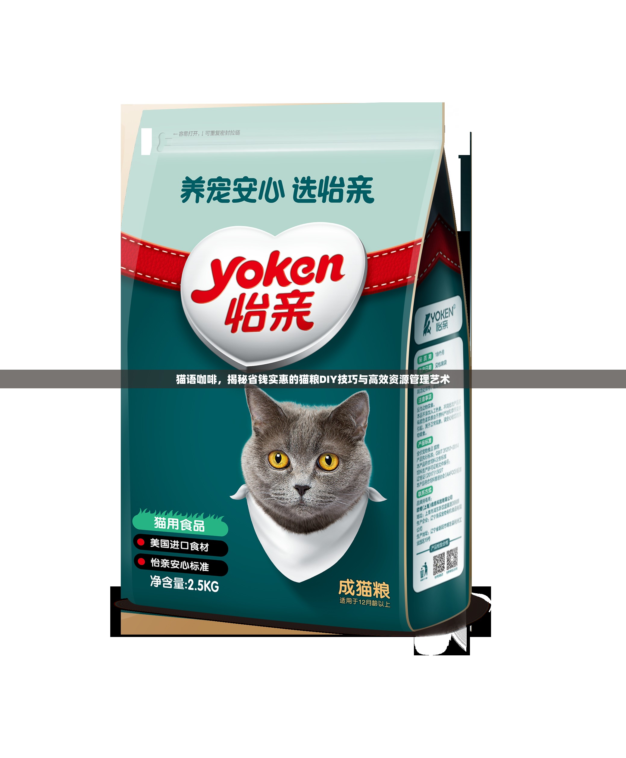 猫语咖啡，揭秘省钱实惠的猫粮DIY技巧与高效资源管理艺术