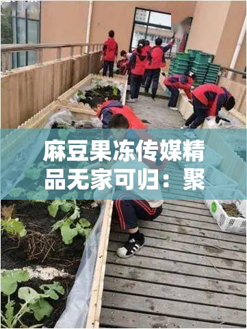 麻豆果冻传媒精品无家可归：聚焦弱势群体的现实困境