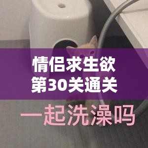 情侣求生欲第30关通关攻略，深度解析密码寻找与电脑解锁步骤