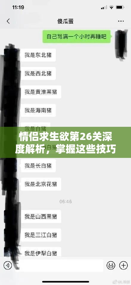 情侣求生欲第26关深度解析，掌握这些技巧，解锁甜蜜原谅的终极秘籍