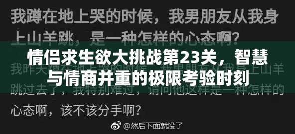 情侣求生欲大挑战第23关，智慧与情商并重的极限考验时刻