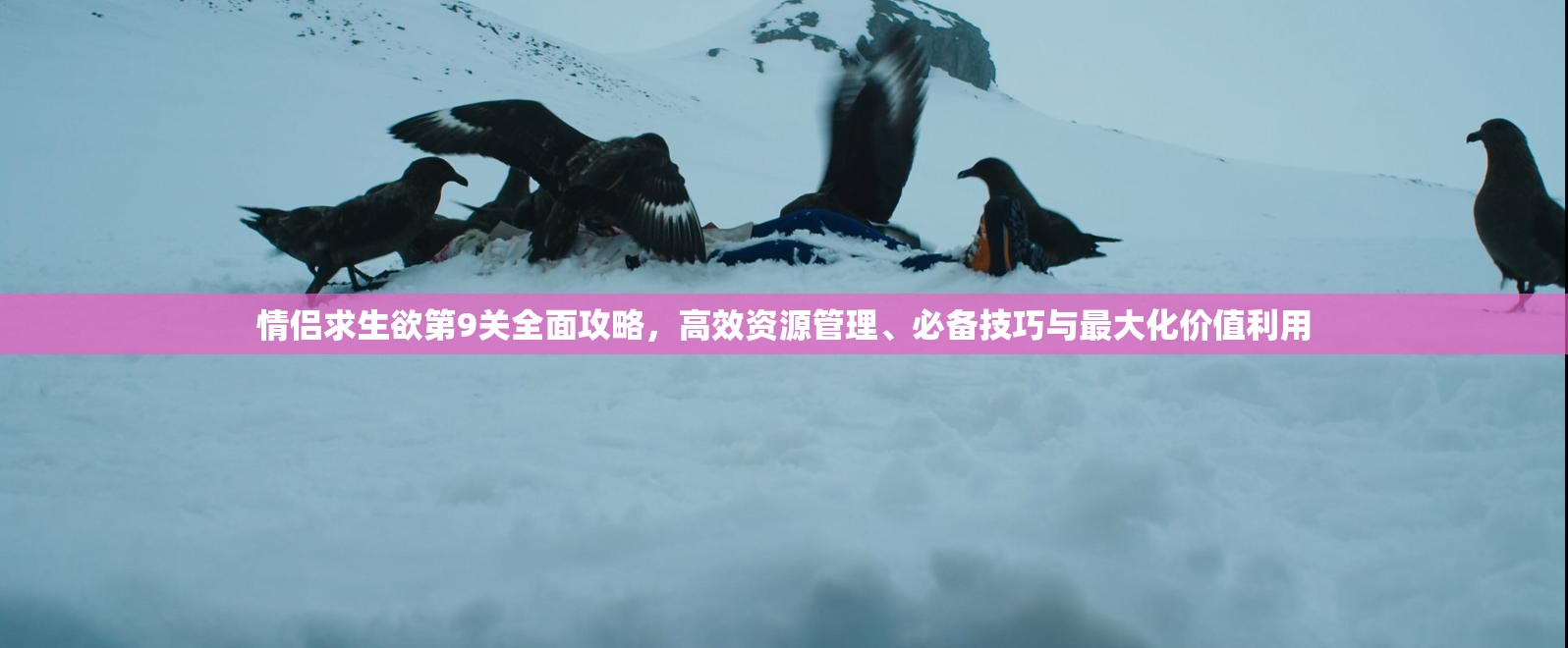 情侣求生欲第9关全面攻略，高效资源管理、必备技巧与最大化价值利用