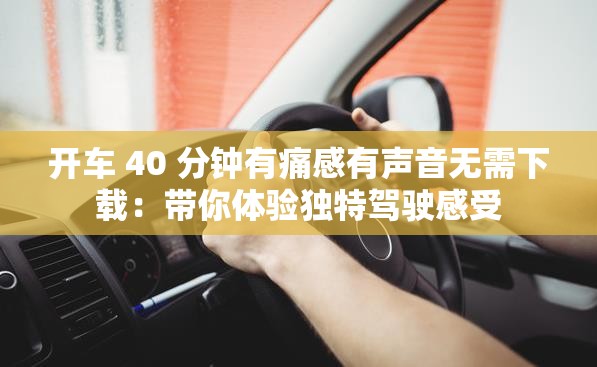 开车 40 分钟有痛感有声音无需下载：带你体验独特驾驶感受