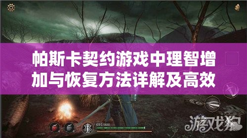 帕斯卡契约游戏中理智增加与恢复方法详解及高效资源管理策略