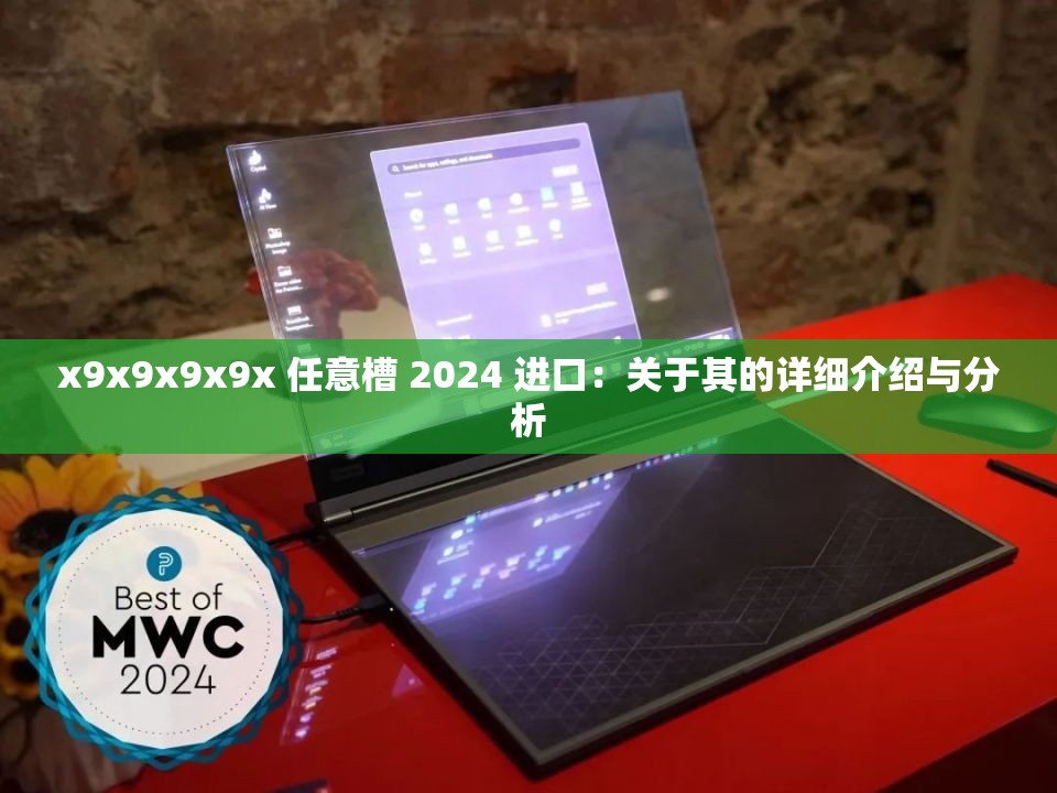 x9x9x9x9x 任意槽 2024 进口：关于其的详细介绍与分析