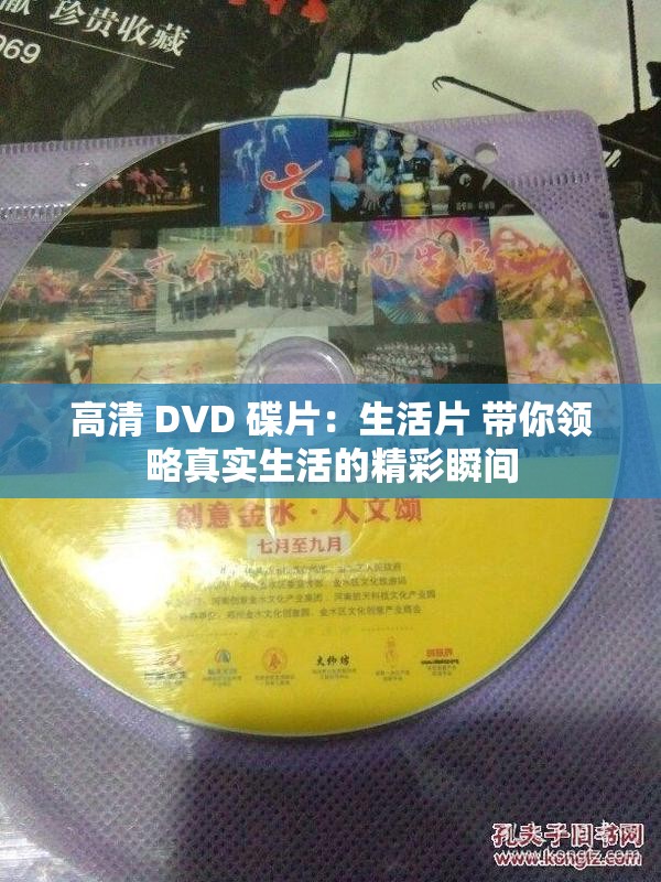 高清 DVD 碟片：生活片 带你领略真实生活的精彩瞬间