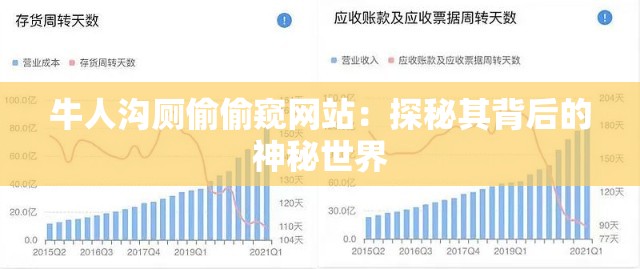 牛人沟厕偷偷窥网站：探秘其背后的神秘世界