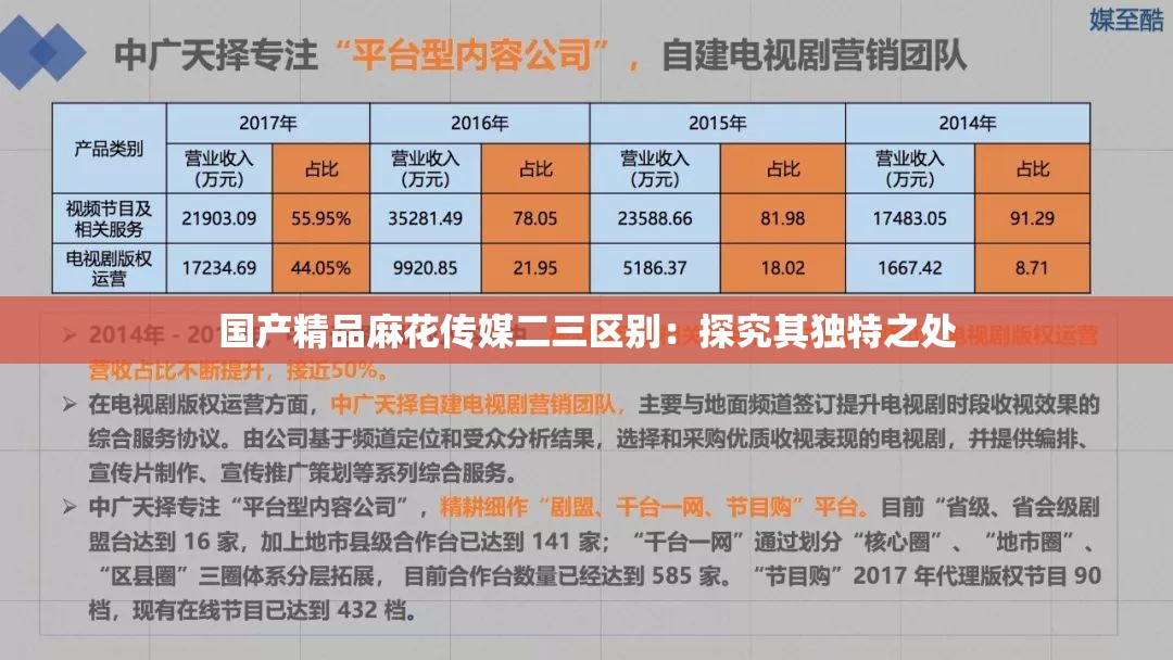 国产精品麻花传媒二三区别：探究其独特之处