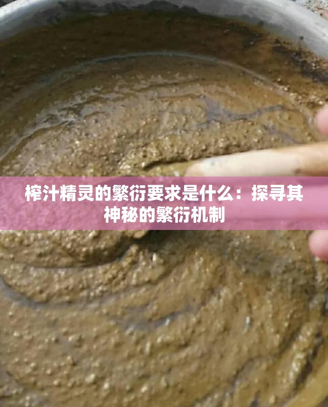 榨汁精灵的繁衍要求是什么：探寻其神秘的繁衍机制