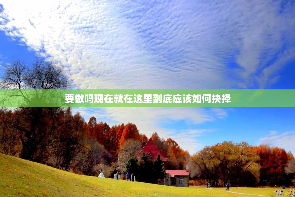 要做吗现在就在这里到底应该如何抉择