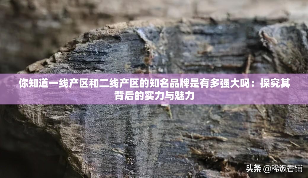 你知道一线产区和二线产区的知名品牌是有多强大吗：探究其背后的实力与魅力