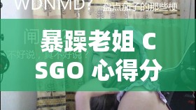 暴躁老姐 CSGO 心得分享：游戏技巧与感悟全揭秘