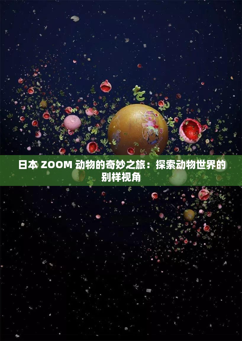 日本 ZOOM 动物的奇妙之旅：探索动物世界的别样视角