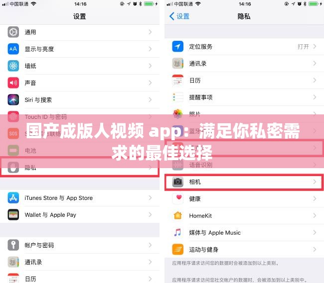 国产成版人视频 app：满足你私密需求的最佳选择