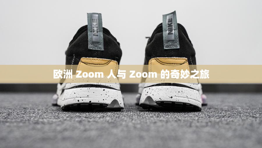 欧洲 Zoom 人与 Zoom 的奇妙之旅