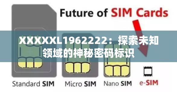 XXXXXL1962222：探索未知领域的神秘密码标识