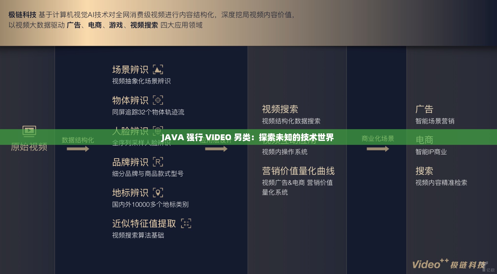 JAVA 强行 VIDEO 另类：探索未知的技术世界